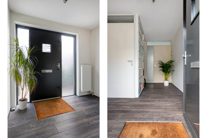 Foto 5 van Willem Walravenhove 20