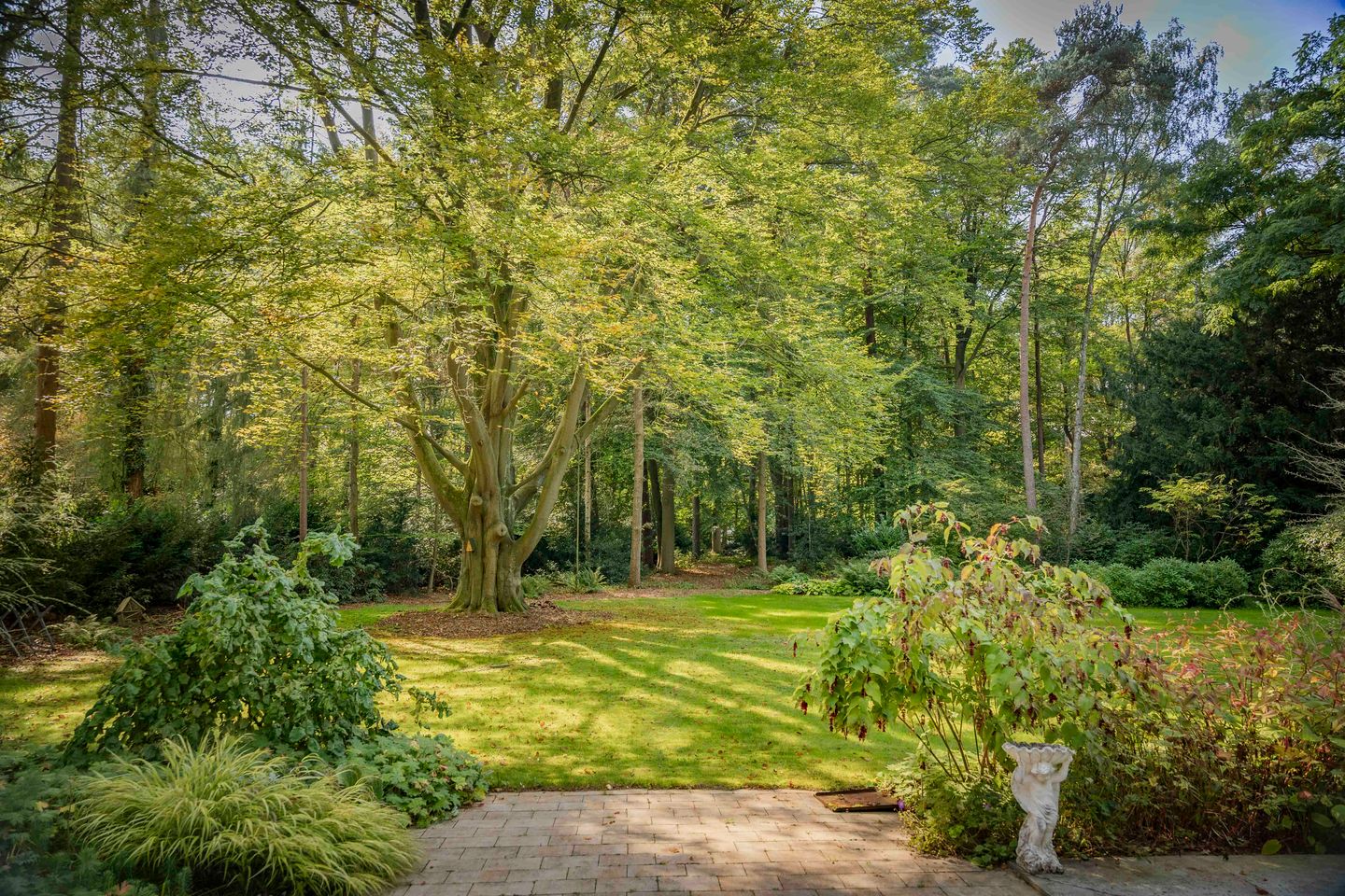 Foto 10 van Middenweg 10