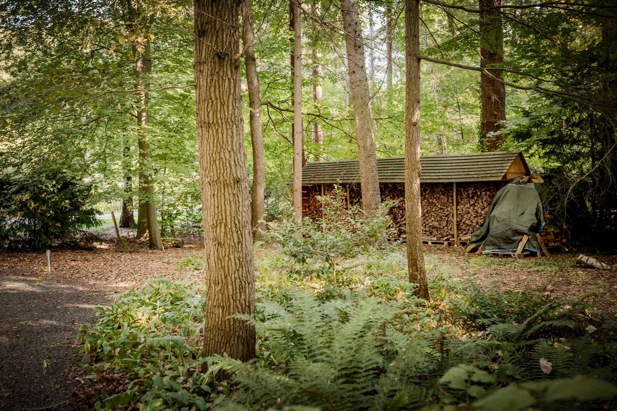 Foto 51 van Middenweg 10