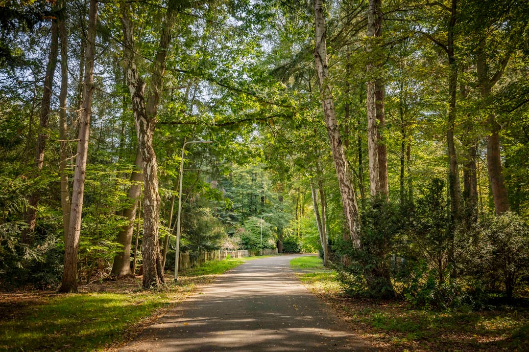 Foto 56 van Middenweg 10