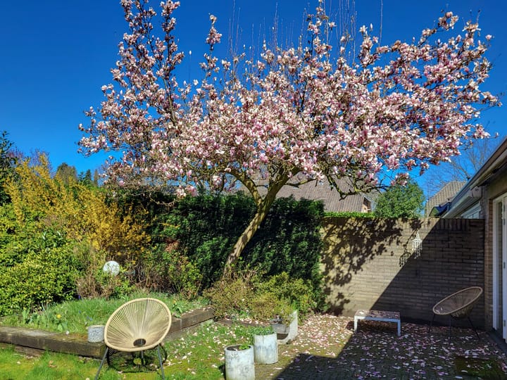 Photo 54 of Suurhofflaan 4