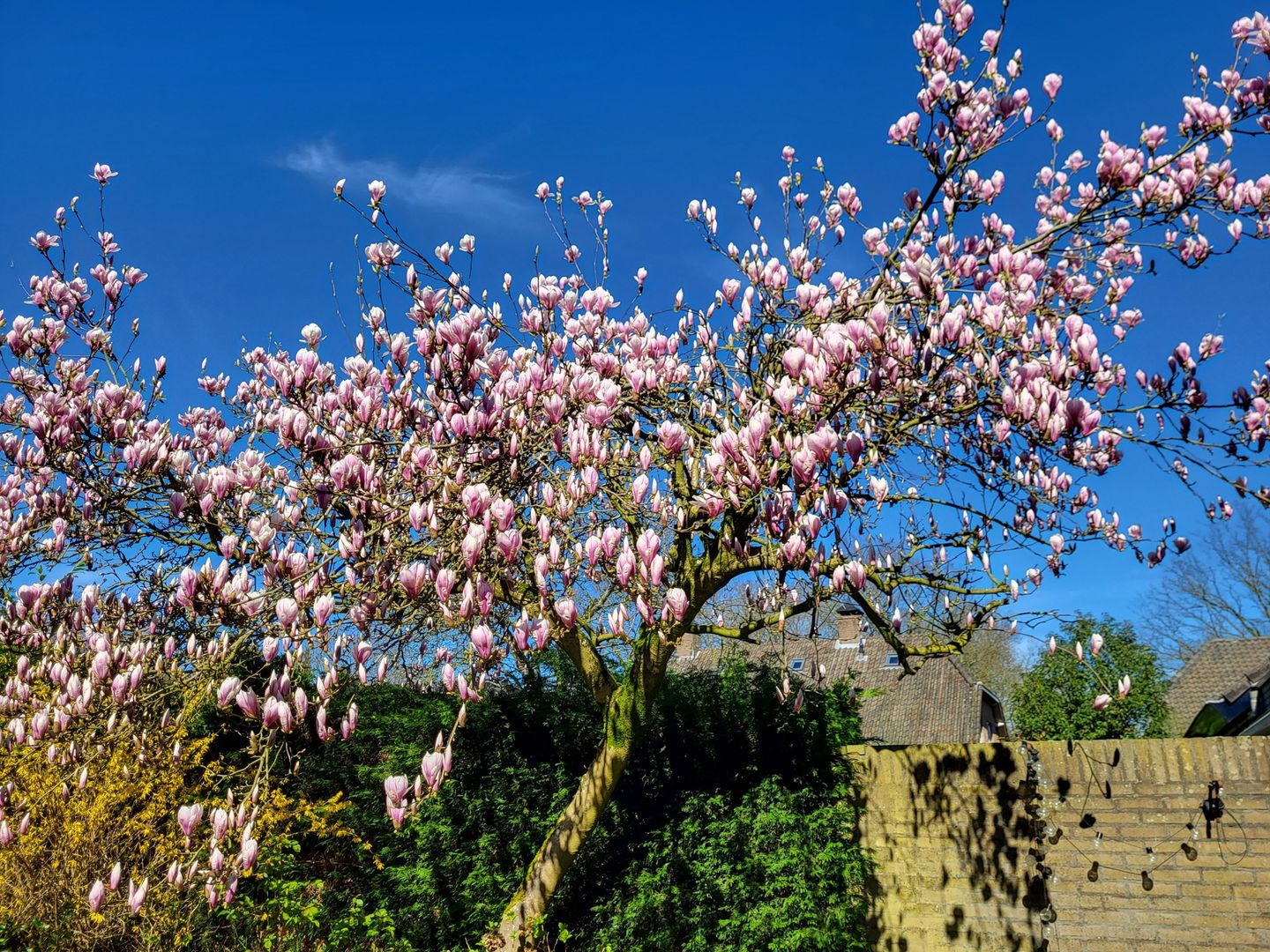 Foto 55 van Suurhofflaan 4