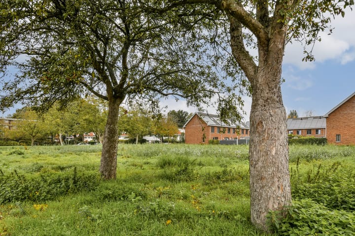 Foto 24 van Amberlaan 11