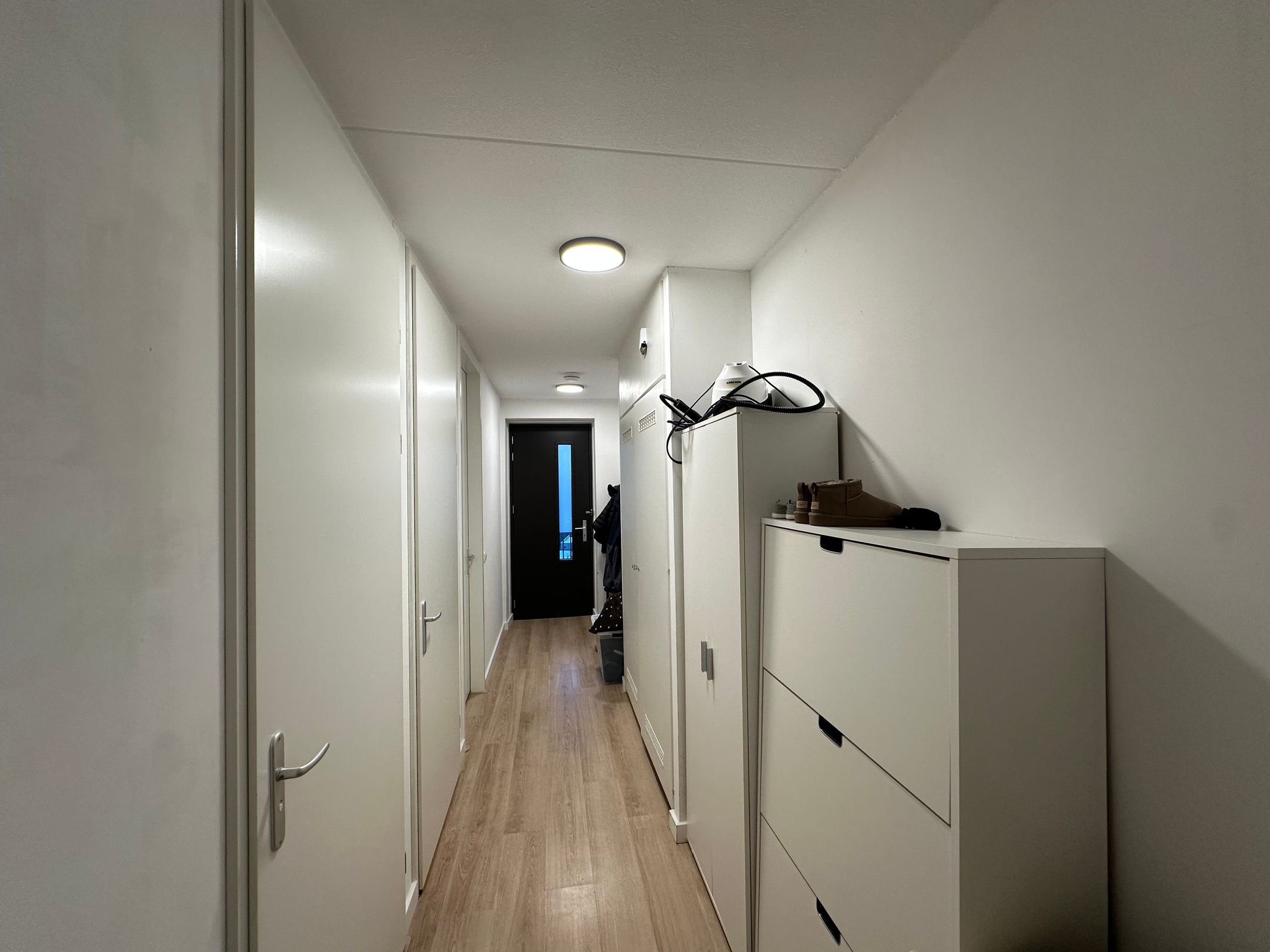 Foto 3 van Wilde rucolavliet 29