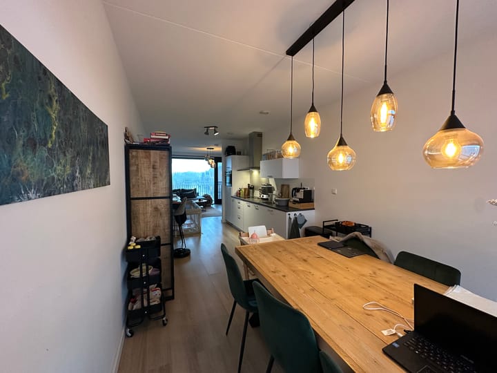 Foto 6 van Wilde rucolavliet 29