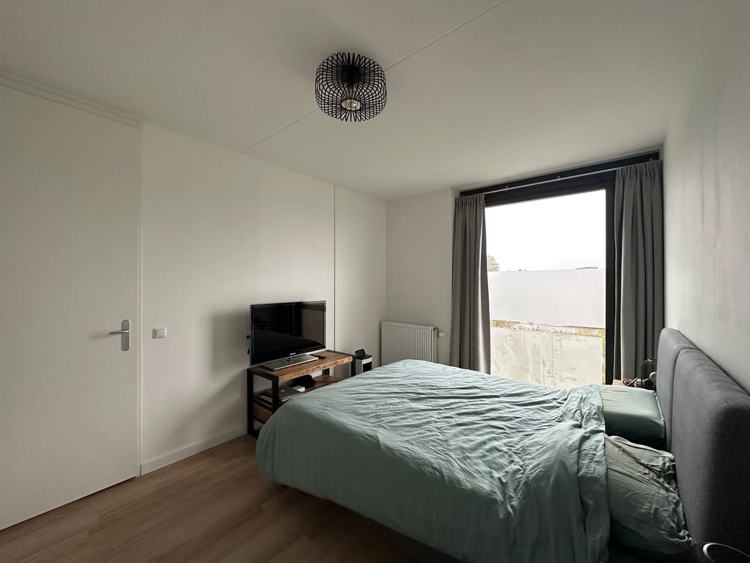 Foto 7 van Wilde rucolavliet 29