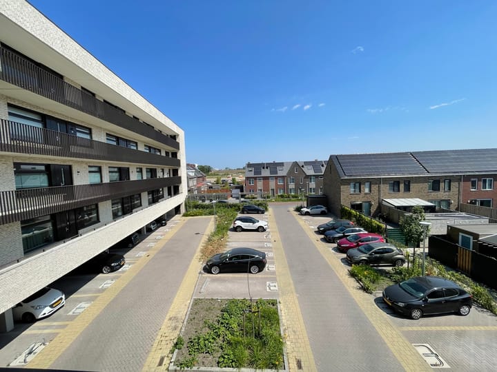 Foto 11 van Wilde rucolavliet 29