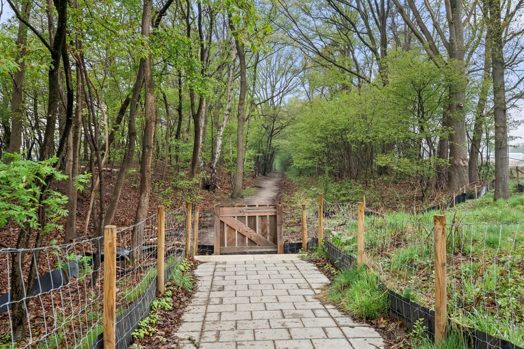 Foto 41 van Akulaan 54