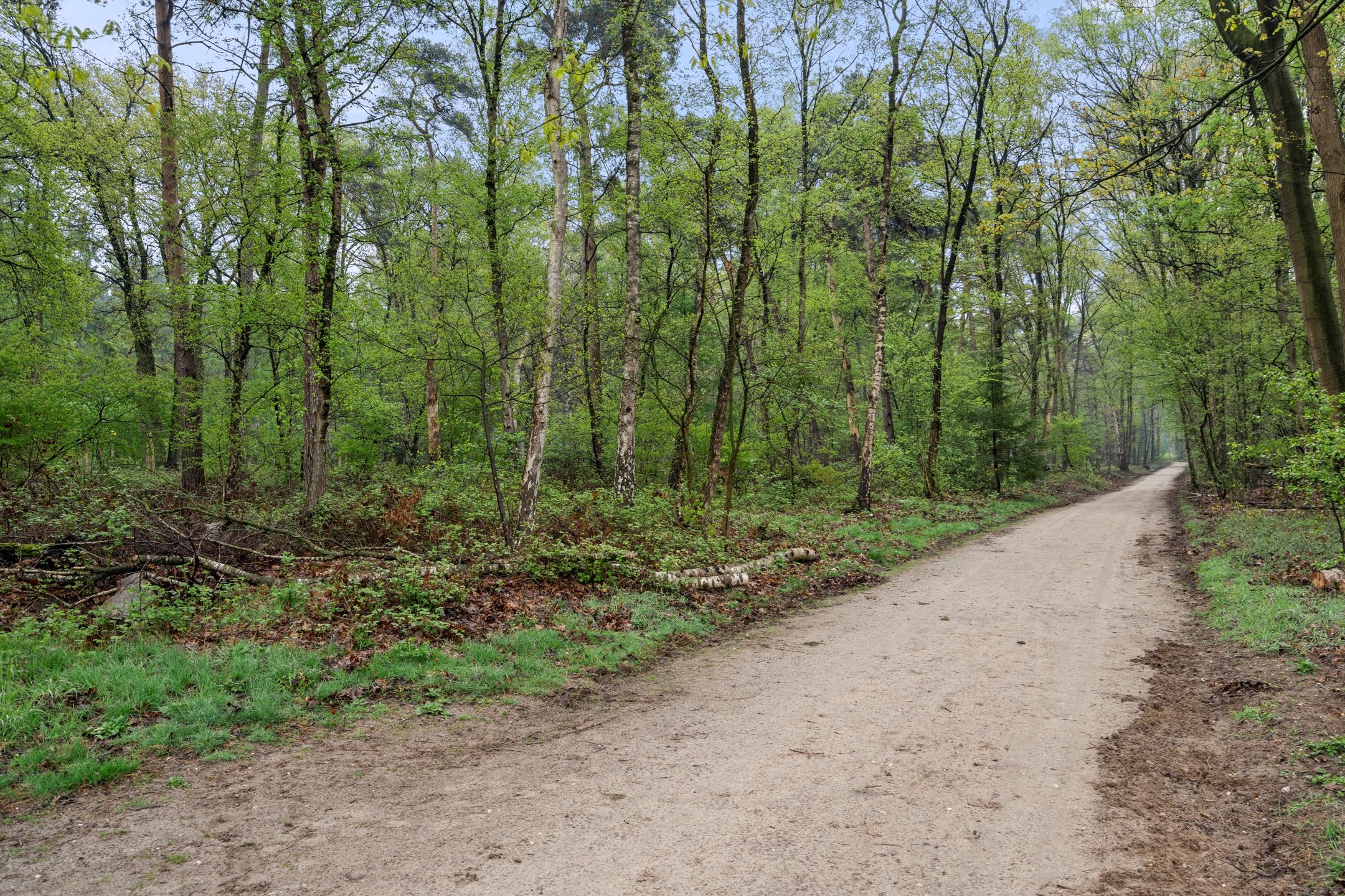 Foto 42 van Akulaan 54