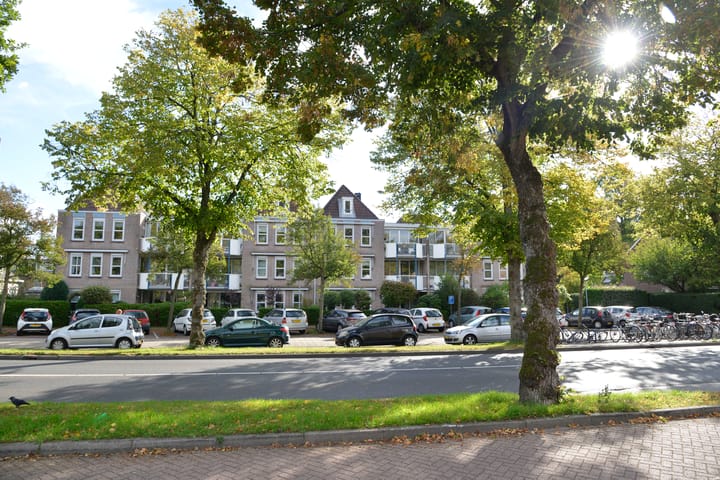 Foto 20 van Jan van Brakelstraat 41