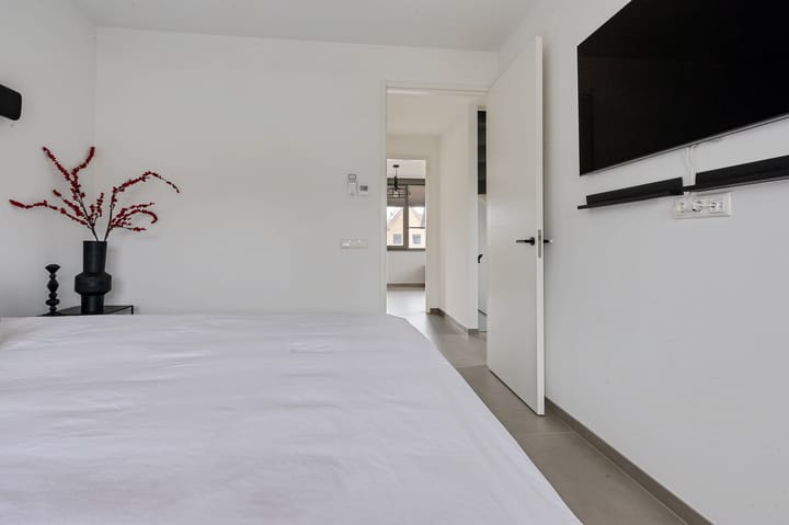 Photo 21 of Vlaserf 8