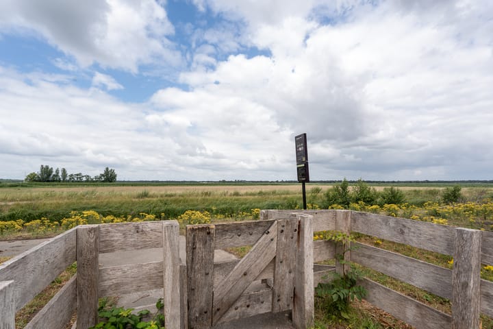 Foto 40 van Wisselslag 16