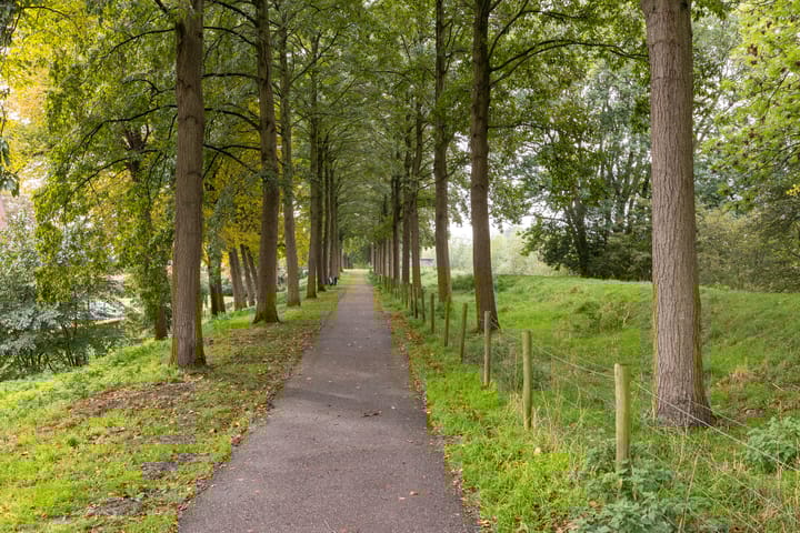 Foto 47 van Witte de Withstraat 41