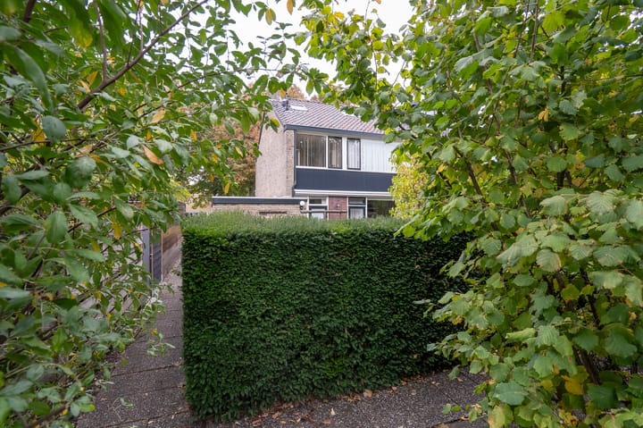 Foto 33 van Vondellaan 140