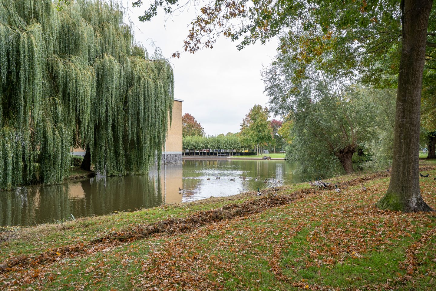 Foto 34 van Vondellaan 140