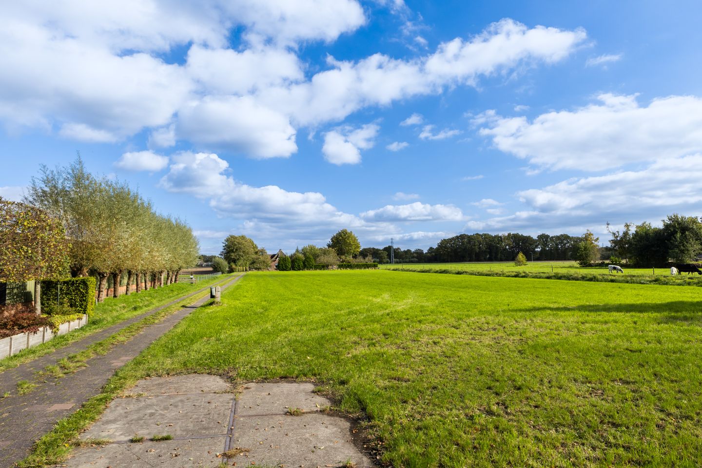 Foto 4 van Riebroekseweg 49