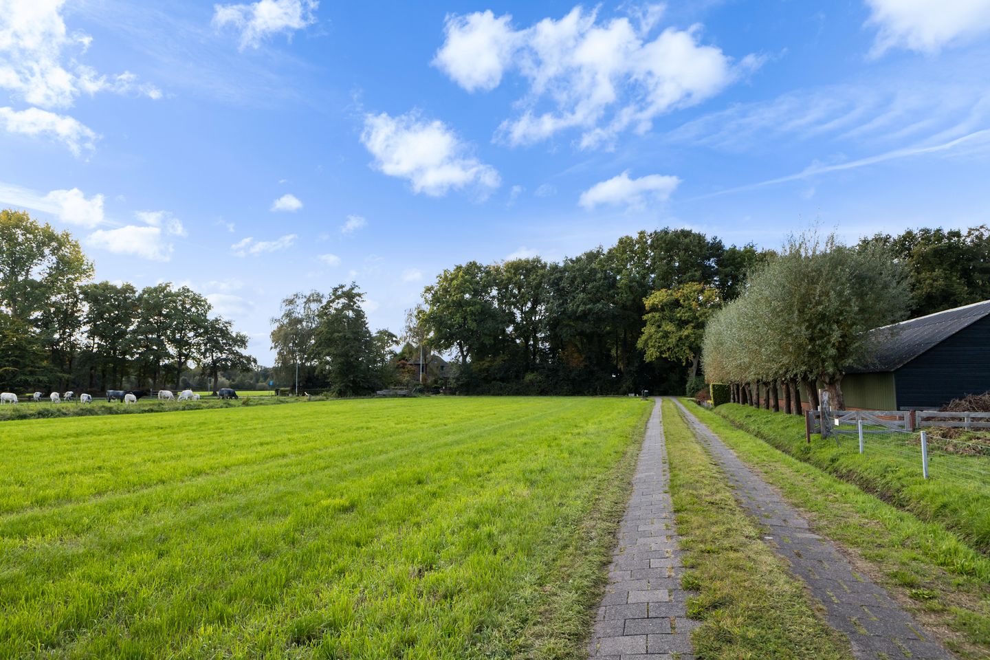 Foto 34 van Riebroekseweg 49