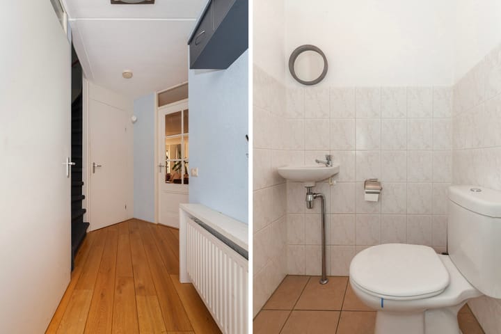 Photo 5 of Purperreiger 17