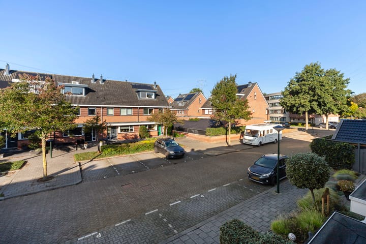 Photo 38 of Purperreiger 17