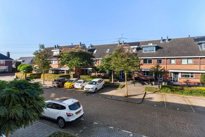 Photo 39 of Purperreiger 17