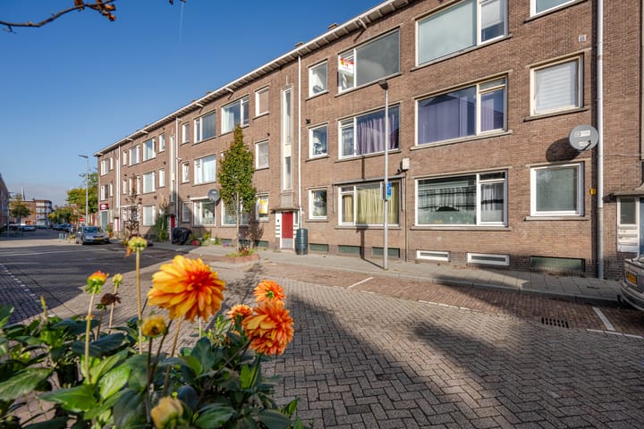 Foto 2 van Meerkoetstraat 65