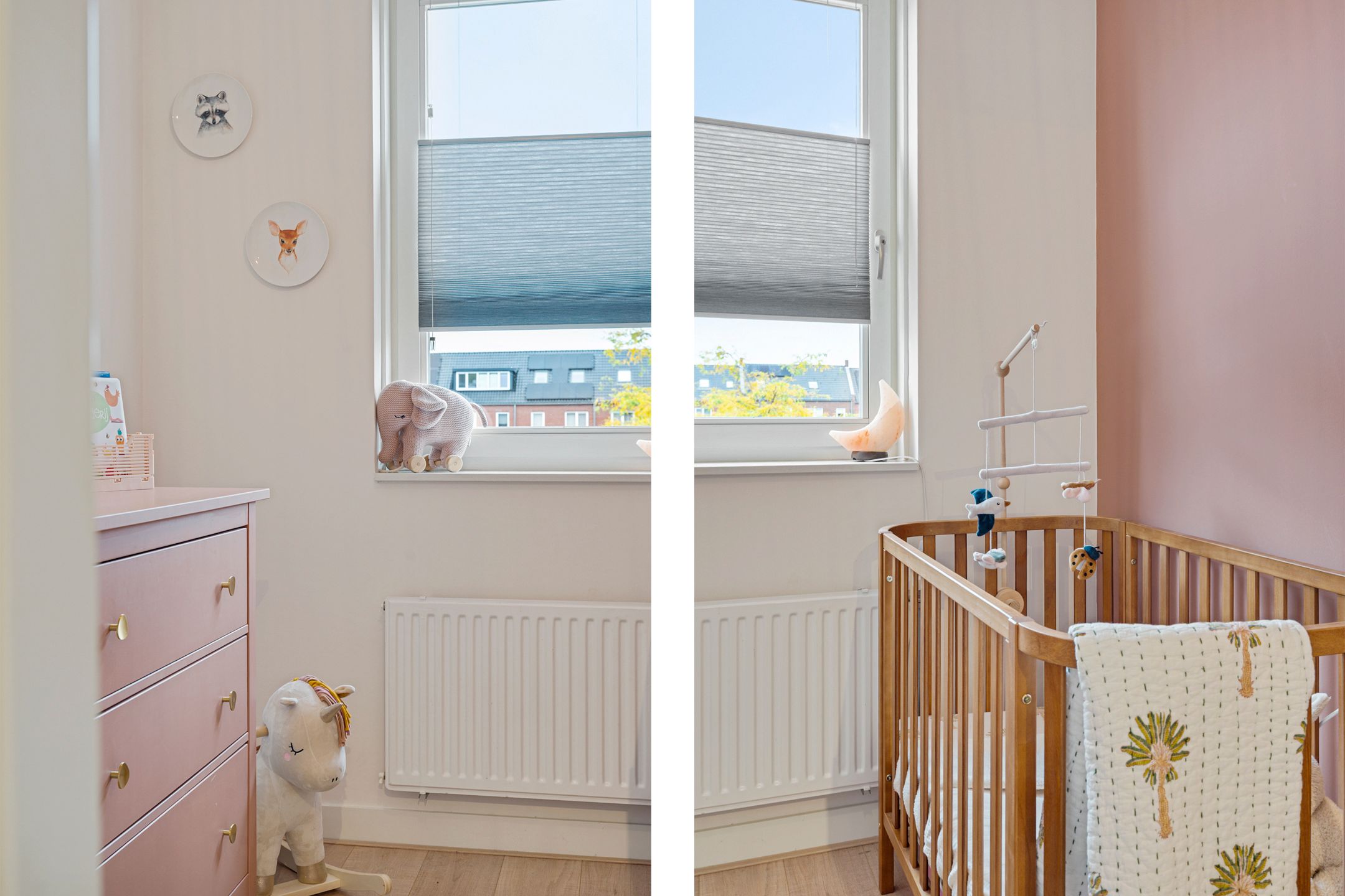 Foto 27 van Willem Passtoorsstraat 50