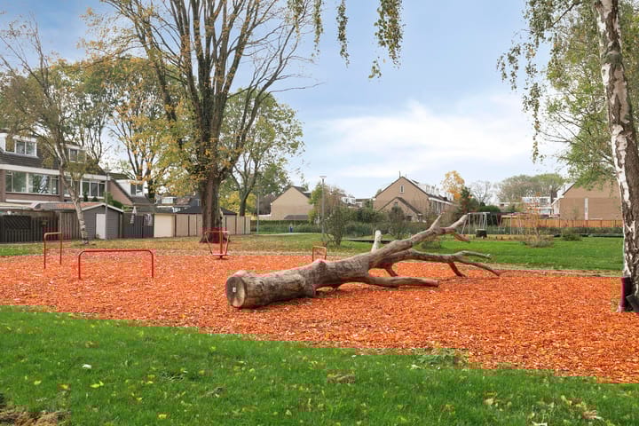 Foto 26 van Tulpenoord 17