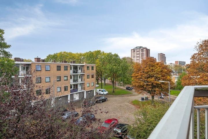 Foto 14 van Tulpenoord 17