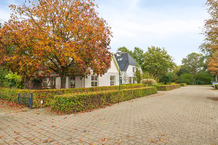 Photo 2 of De Kattenberg 25