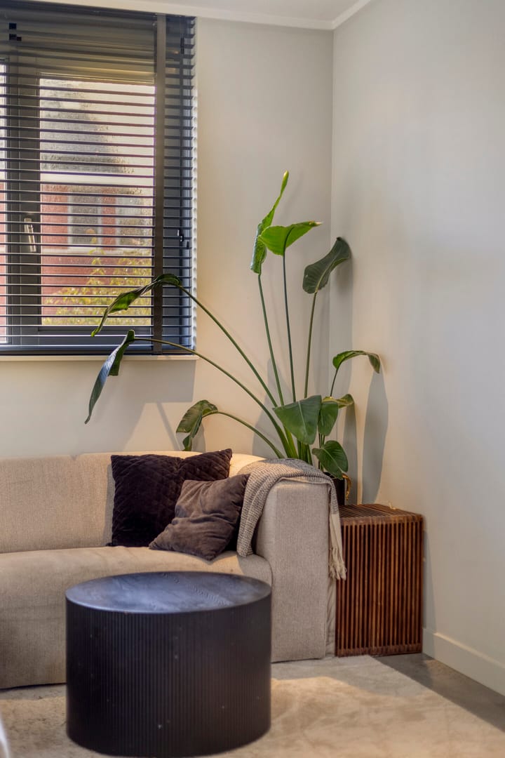 Photo 13 of Zaalbospad 36