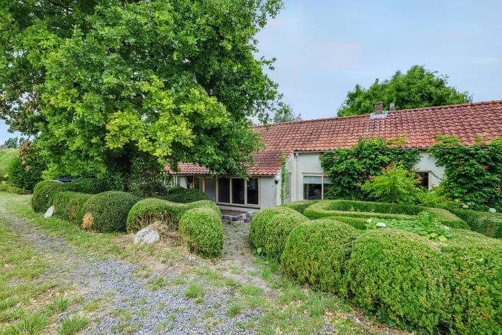 Foto 4 van Zeedijk 3