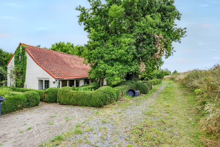 Foto 5 van Zeedijk 3