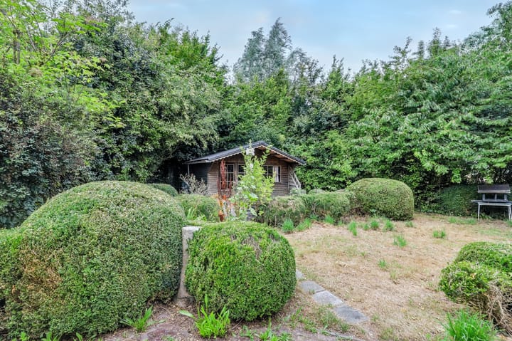 Foto 22 van Zeedijk 3