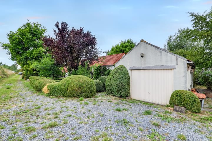 Foto 25 van Zeedijk 3