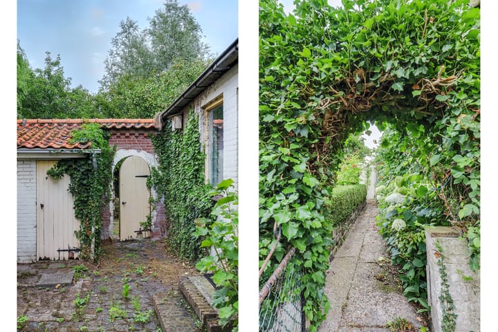 Foto 29 van Zeedijk 3