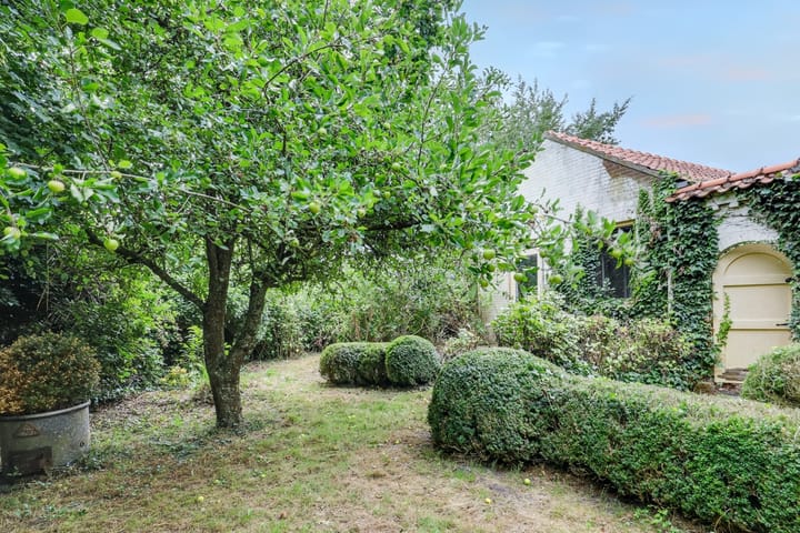 Foto 35 van Zeedijk 3