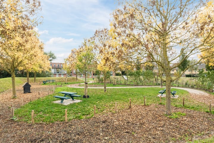 Foto 43 van Linnaeushof 25