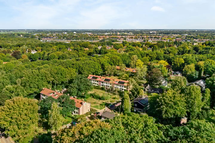 Foto 3 van Treublaan 19-B