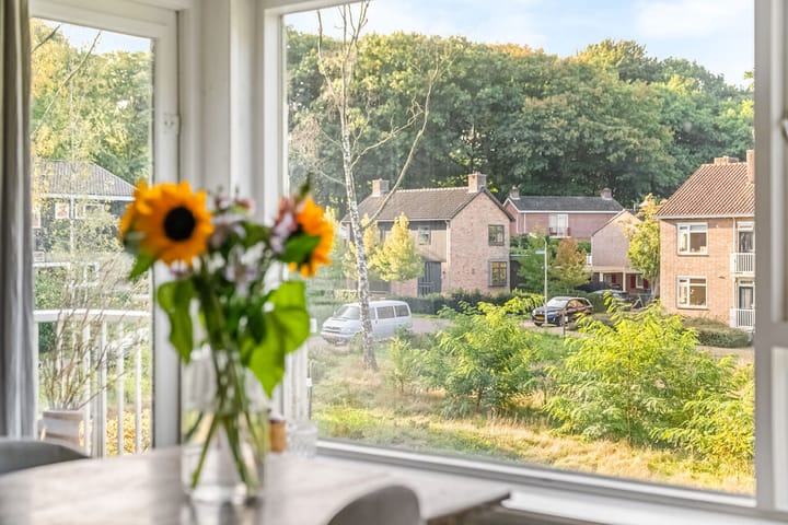 Foto 10 van Treublaan 19-B