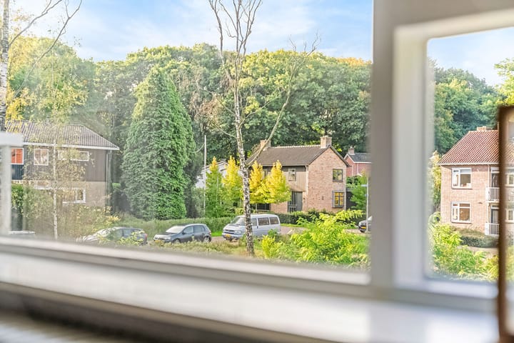 Foto 21 van Treublaan 19-B