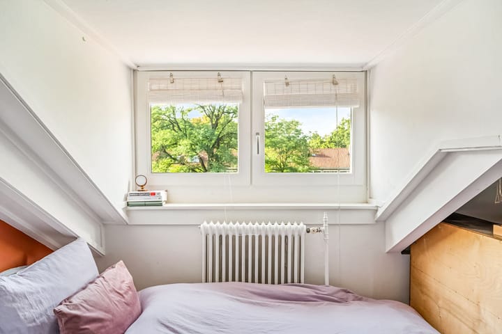 Foto 27 van Treublaan 19-B