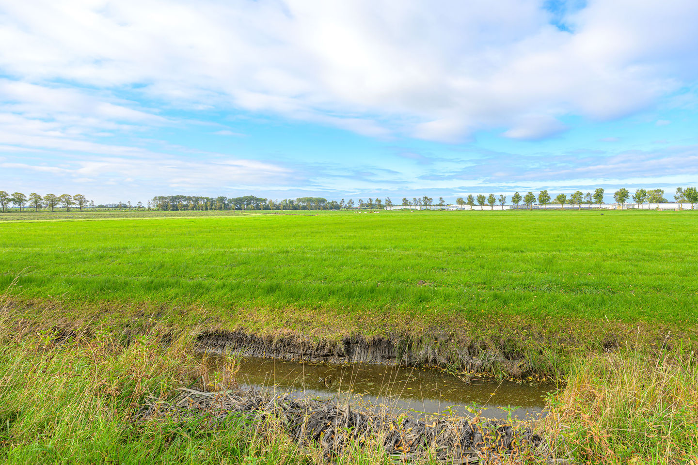 Foto 4 van Dorpsstraat 91