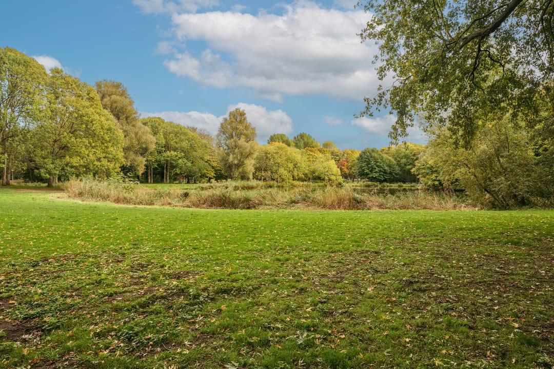 Photo 37 of Nachtwachtlaan 385