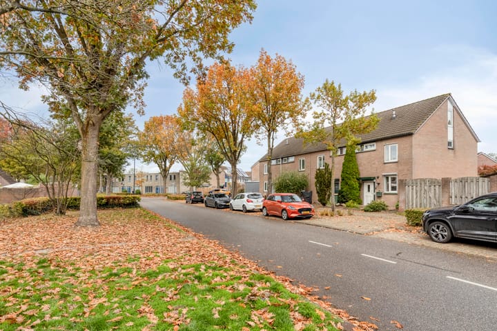 Photo 43 of Cannaertserf 32