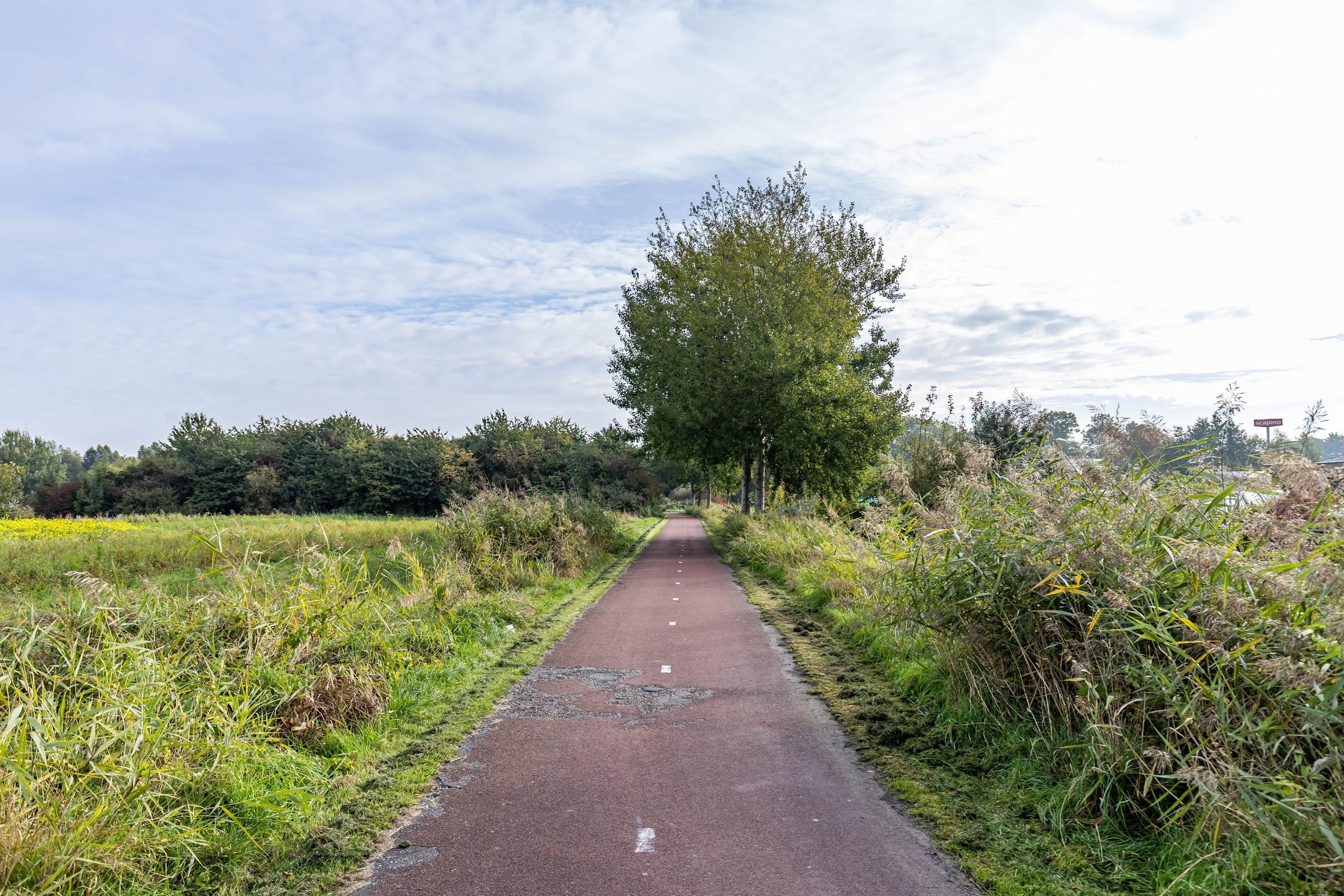 Foto 45 van Orchideestraat 135