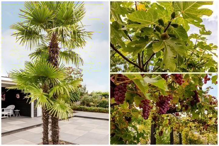 Foto 42 van Roderveld 54