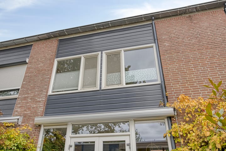 Foto 37 van Rompert Park 100