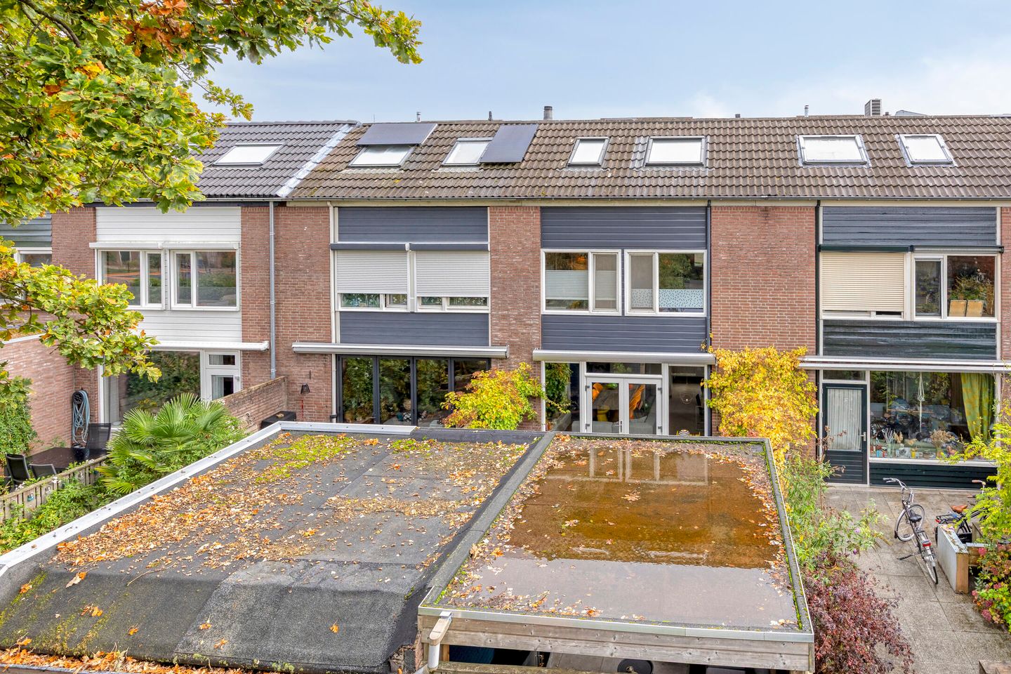 Foto 35 van Rompert Park 100