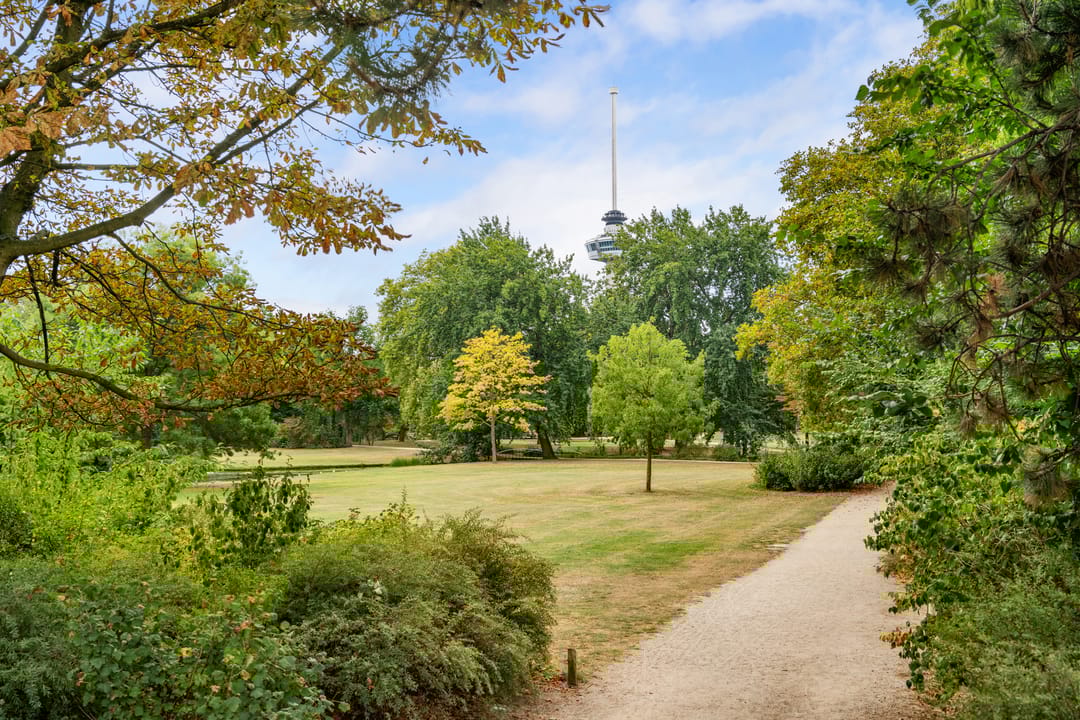 Foto 31 van Westzeedijk 212