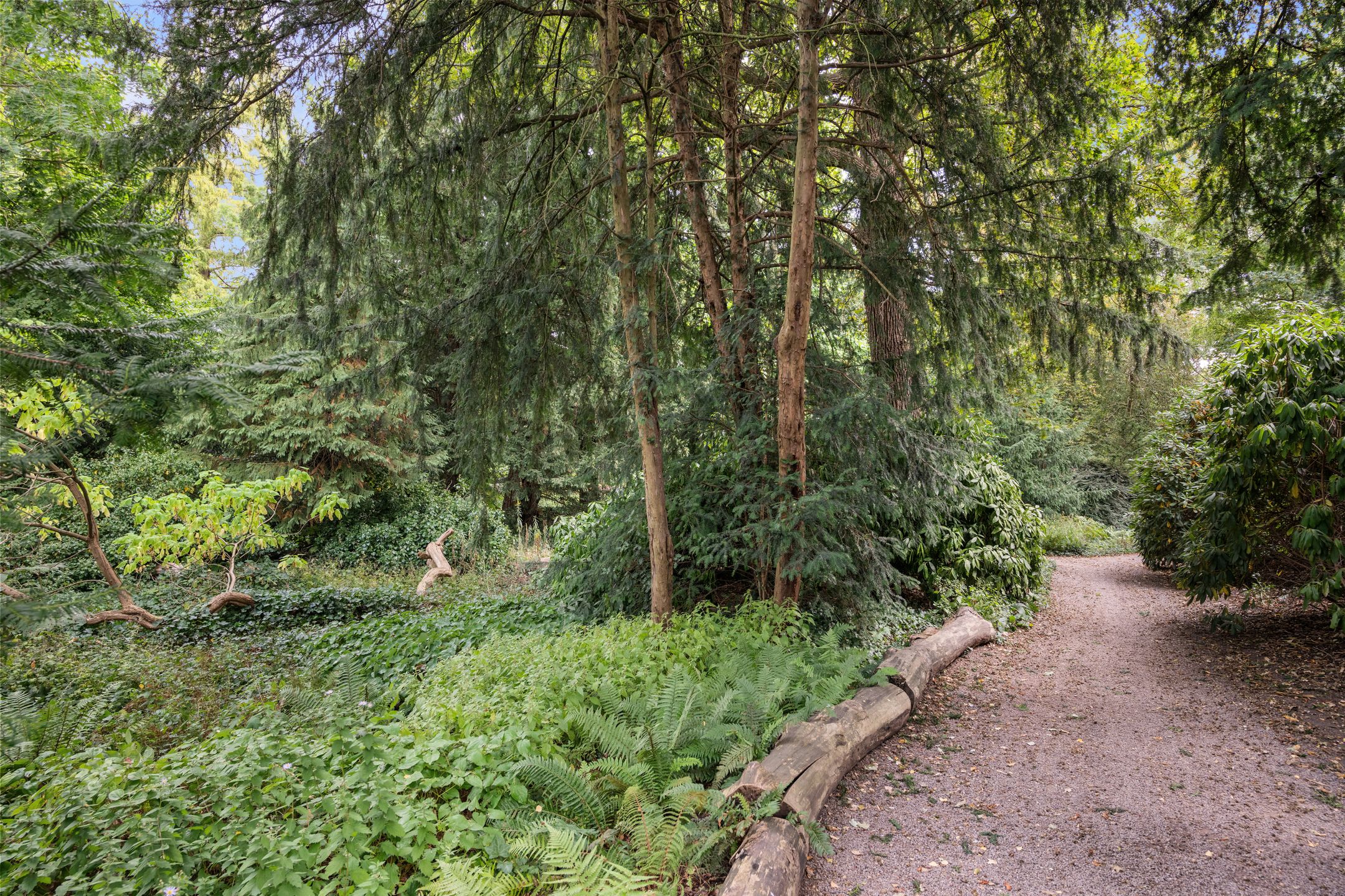 Foto 33 van Westzeedijk 212